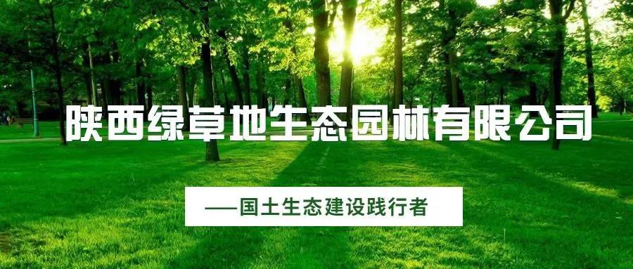 習近平:貫徹新發(fā)展理念構(gòu)建新發(fā)展格局 推動經(jīng)濟社會高質(zhì)量發(fā)展可持續(xù)發(fā)展(圖1) 23-20111Q01501927.jpg